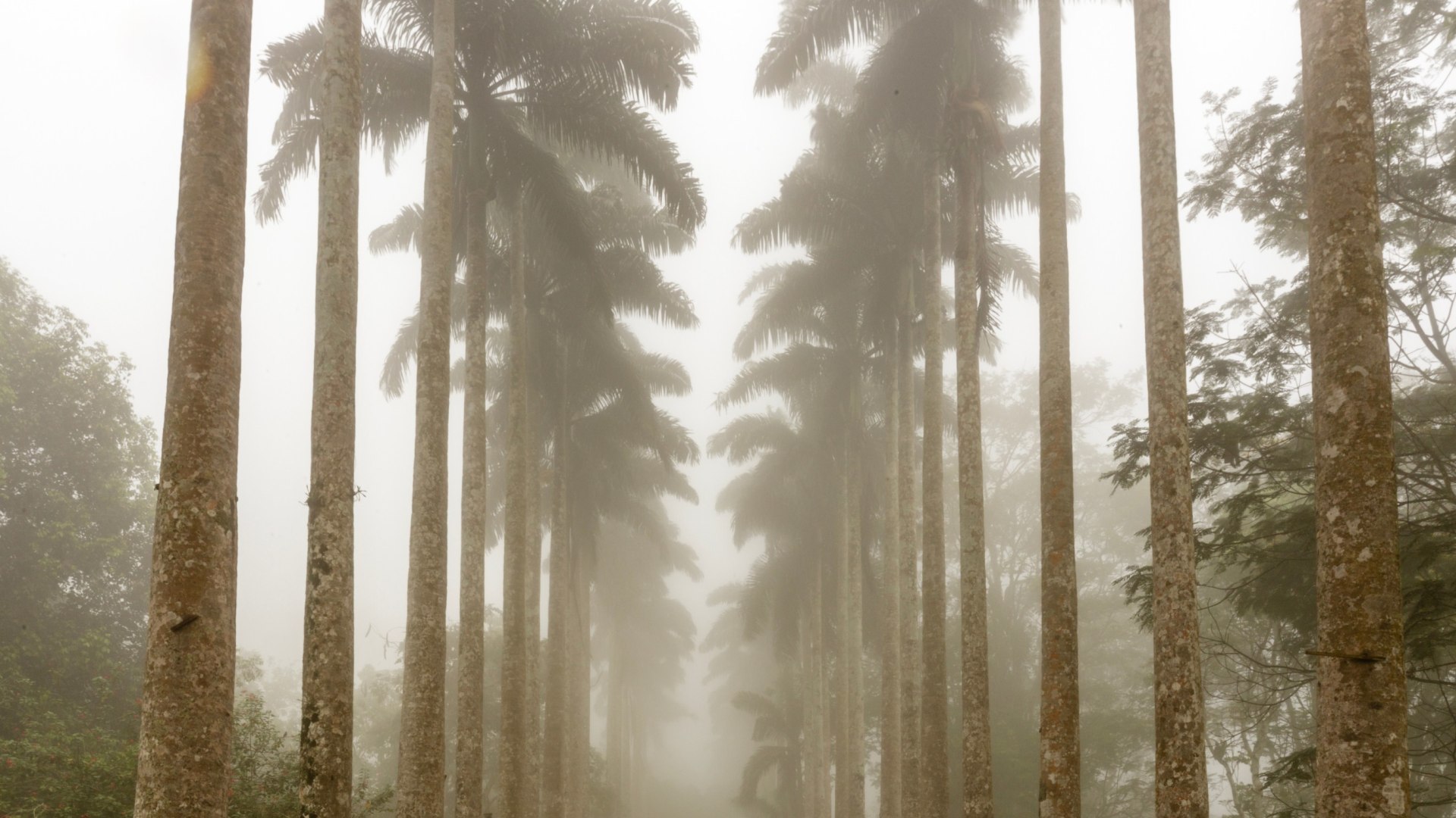 Große Ghana Rundreise